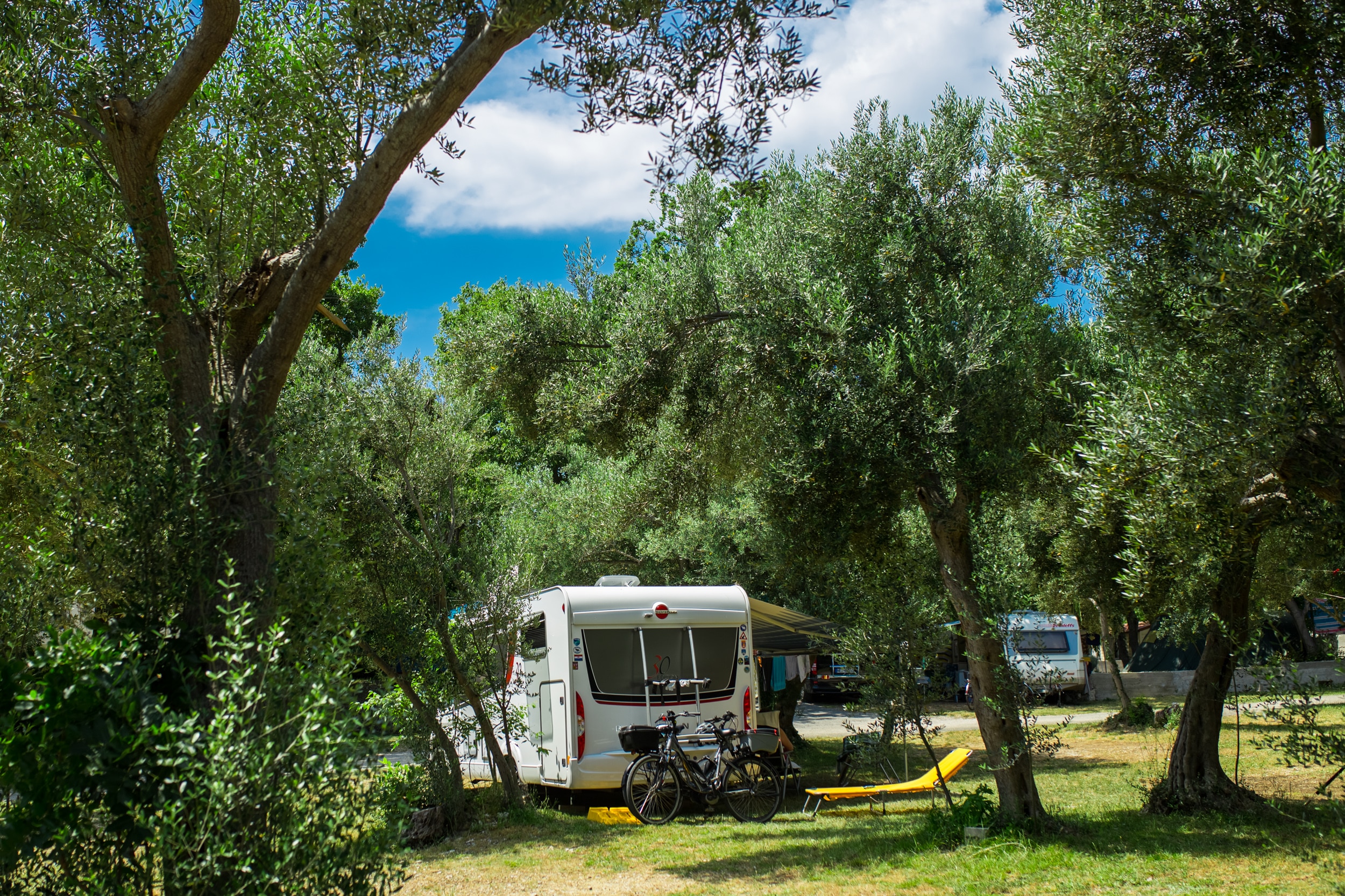 Camping Viter