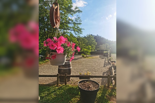 Camping La Combe d'Oyans