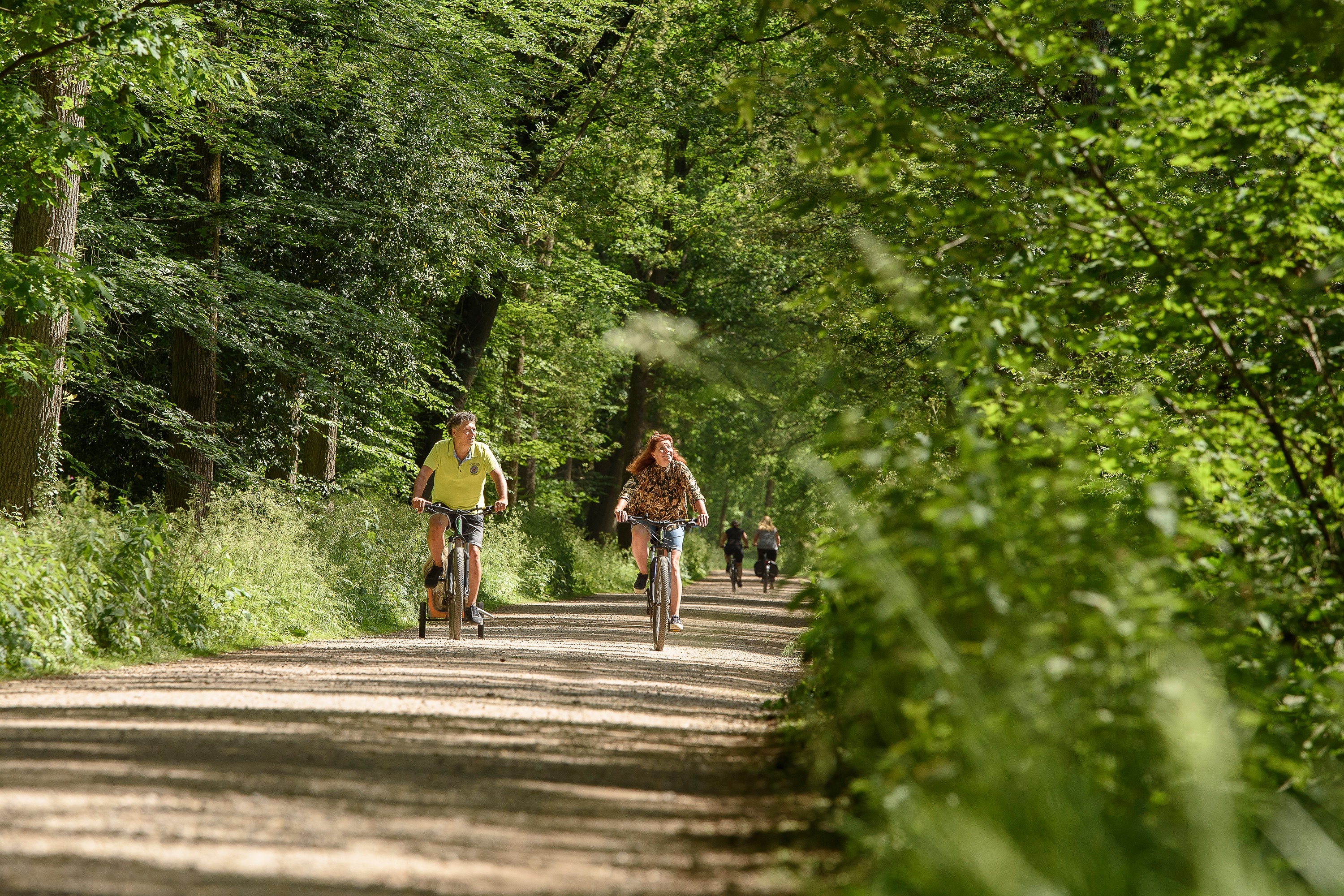 Camping De Harmienehoeve