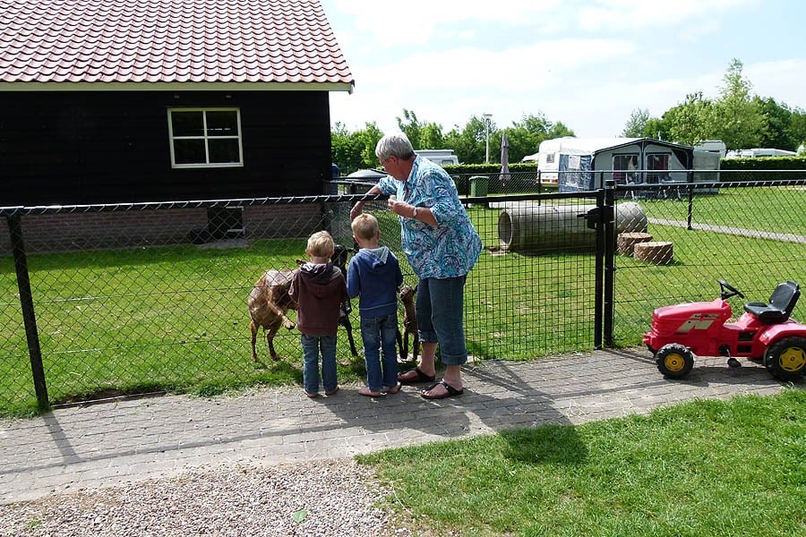 Camping de Weeltenkamp
