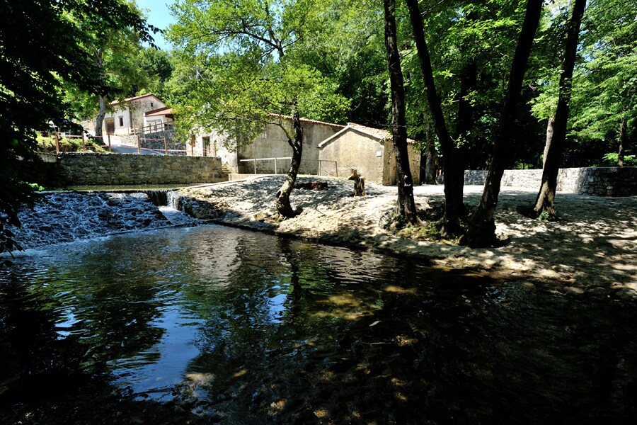 Kamp Dujceva Domacija