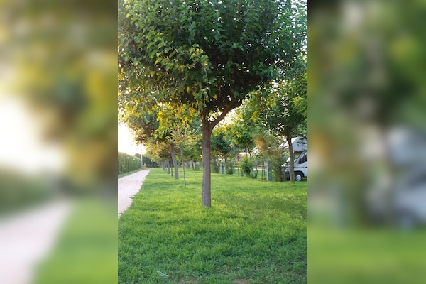 Agricampeggio Da Scarpa