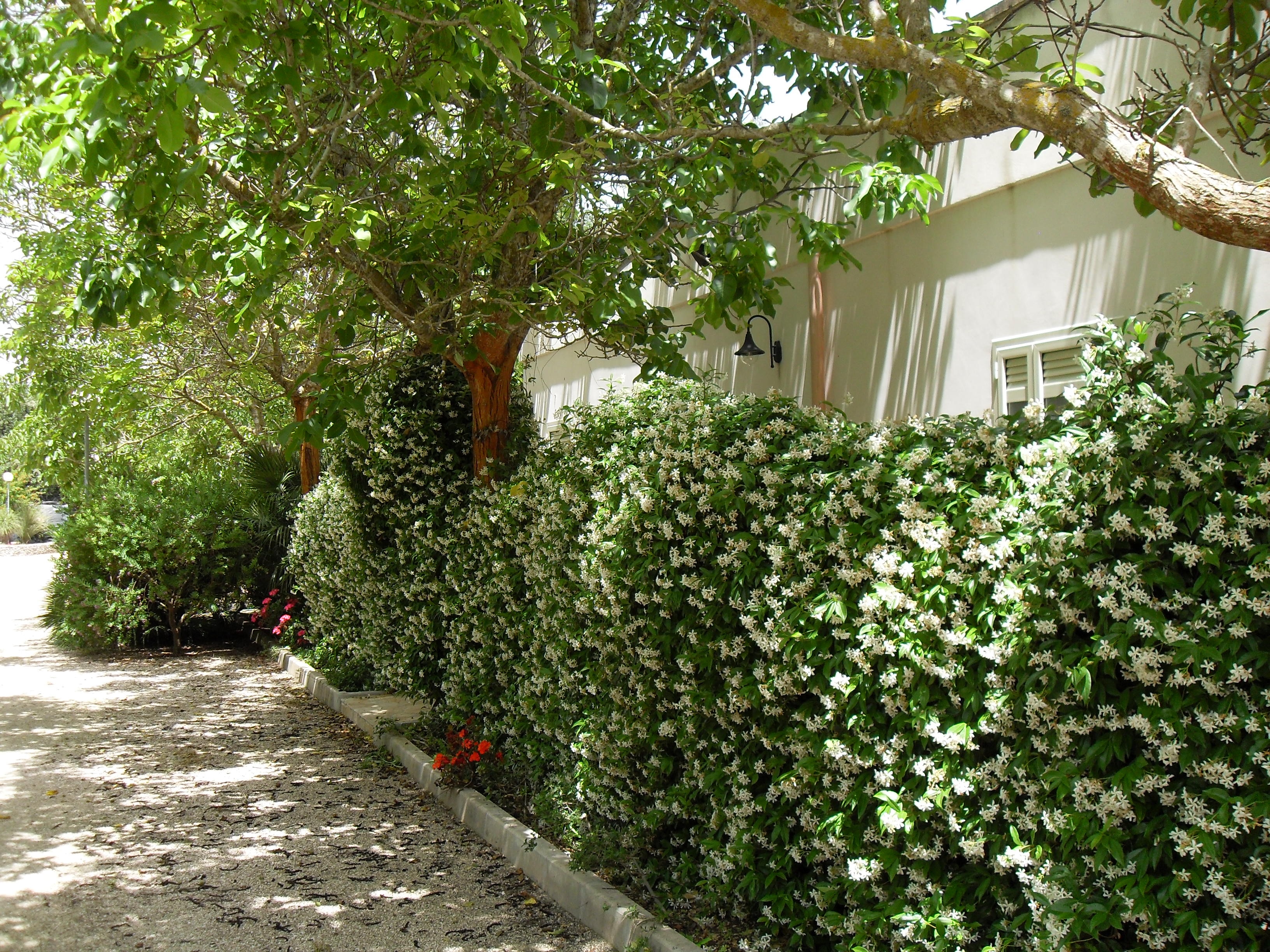 Parco Camper La Torre