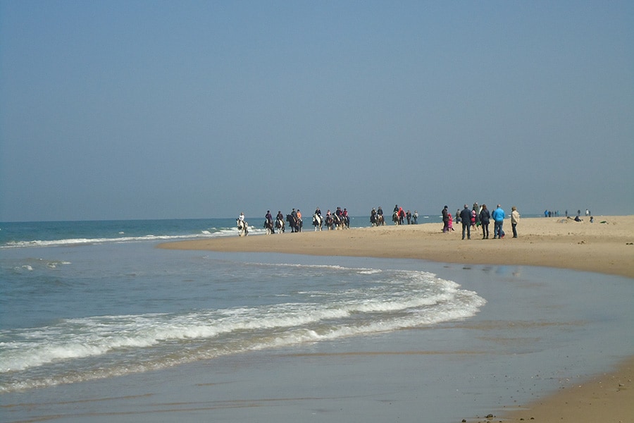 Minicamping Dorpszicht