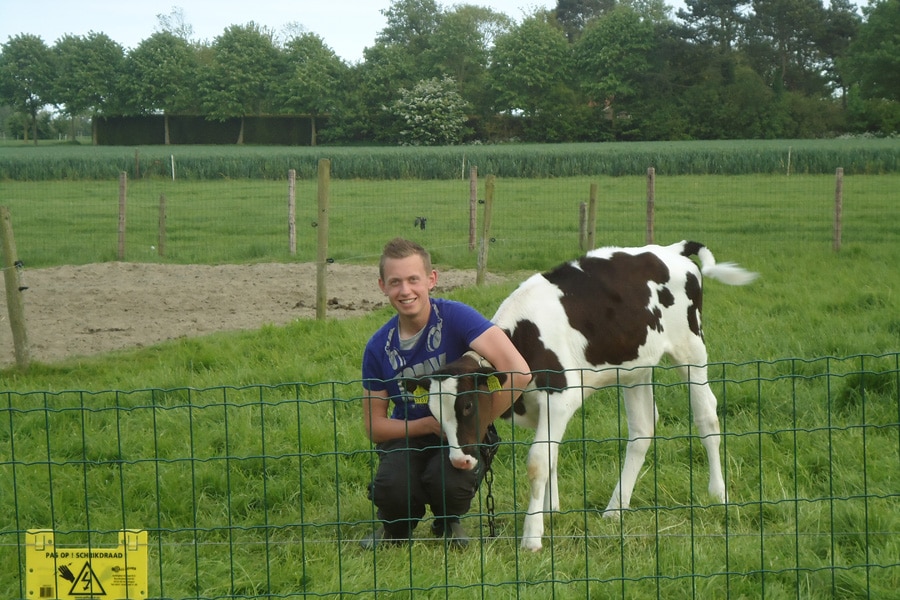 Minicamping Dorpszicht