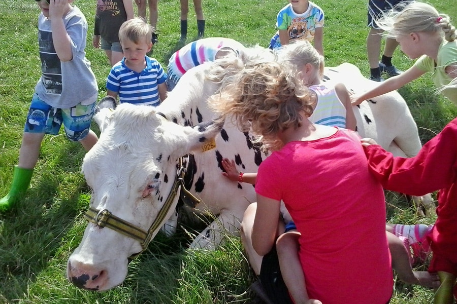 Minicamping Dorpszicht