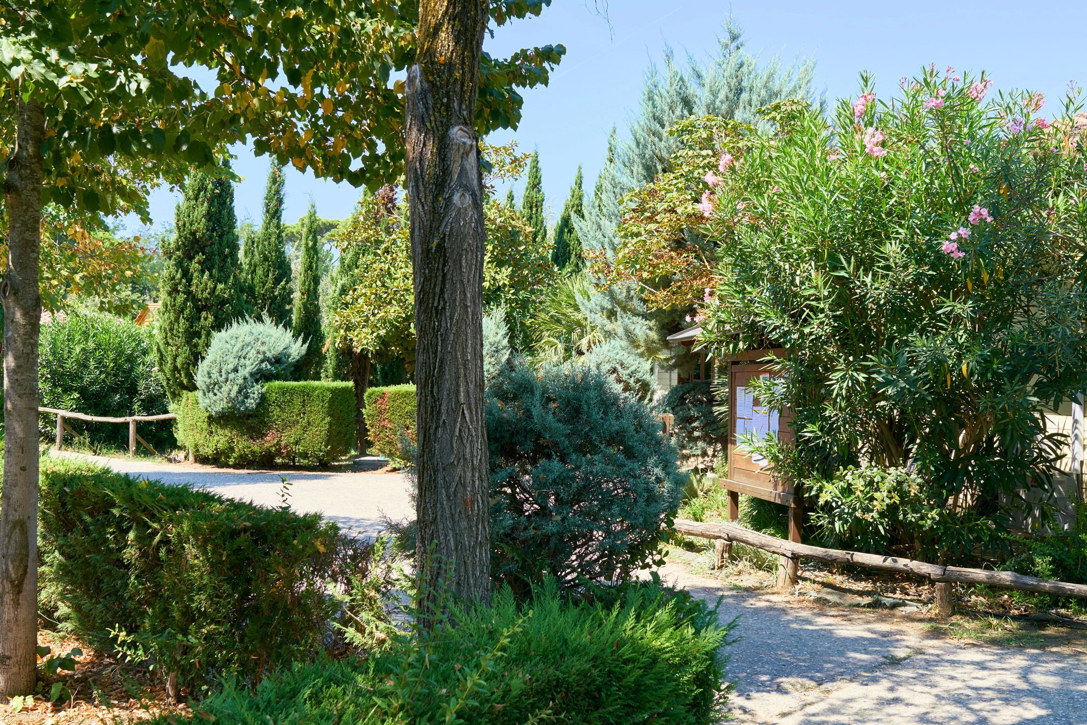 Camping Paradiso