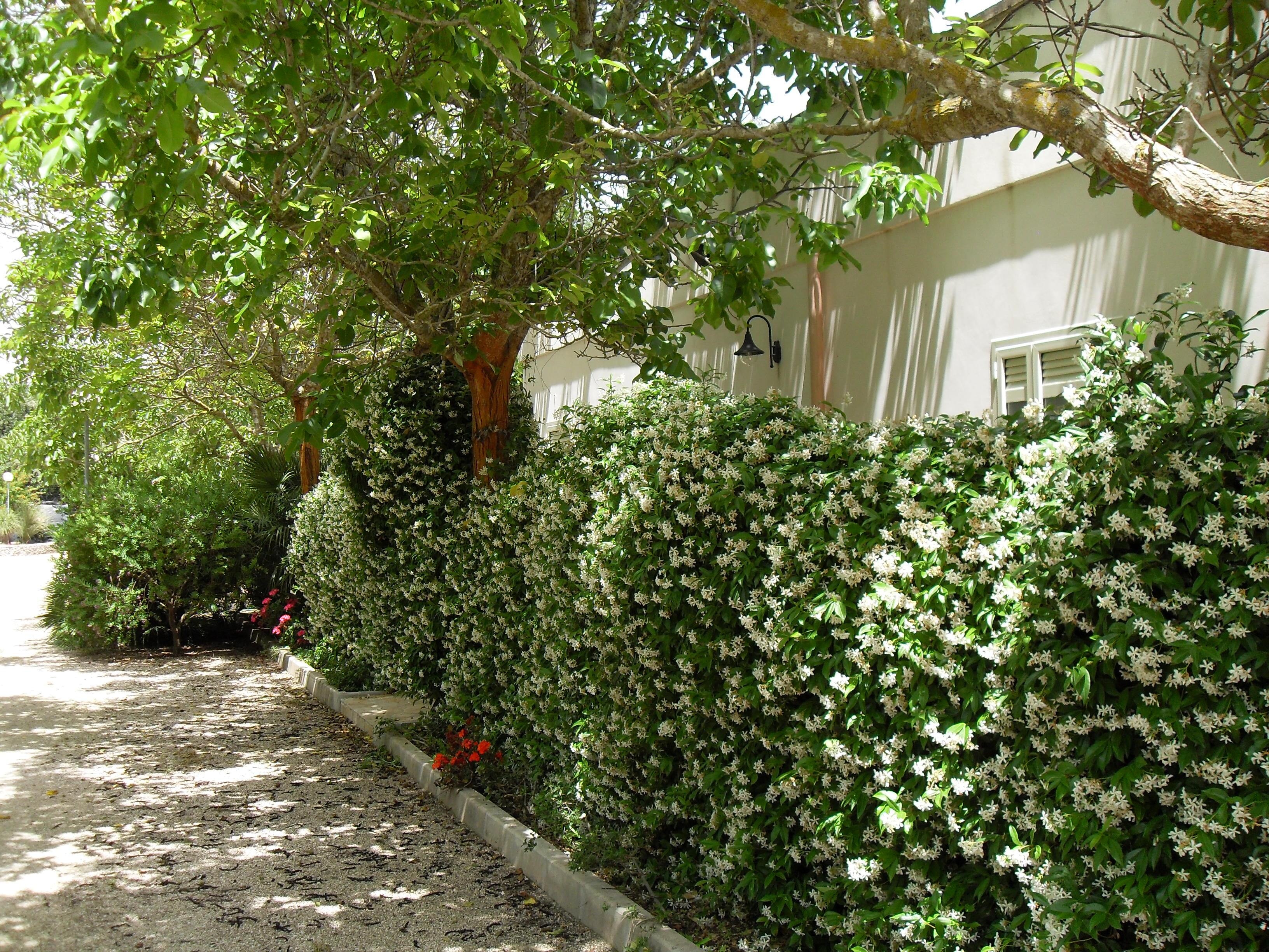 Parco Camper La Torre