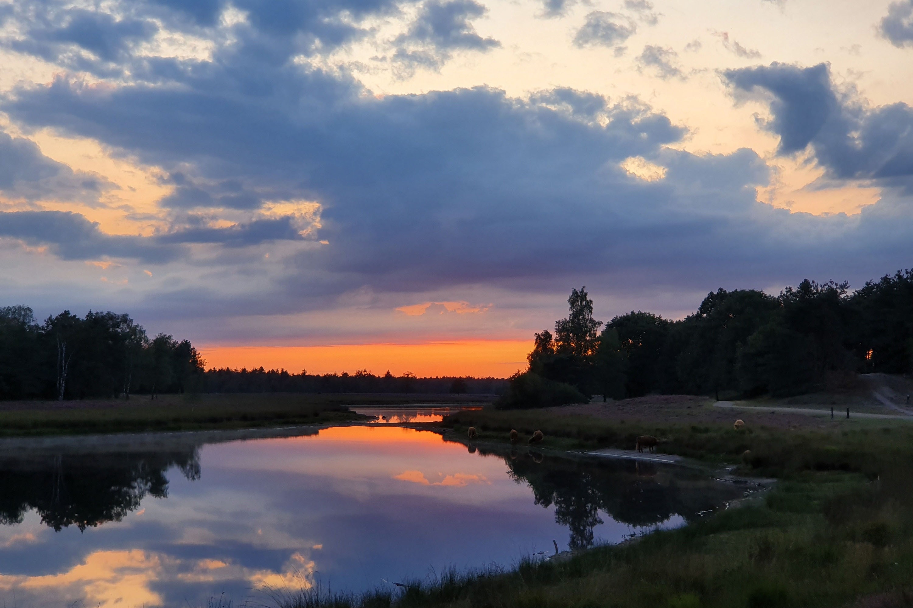 Camping De Somerweij