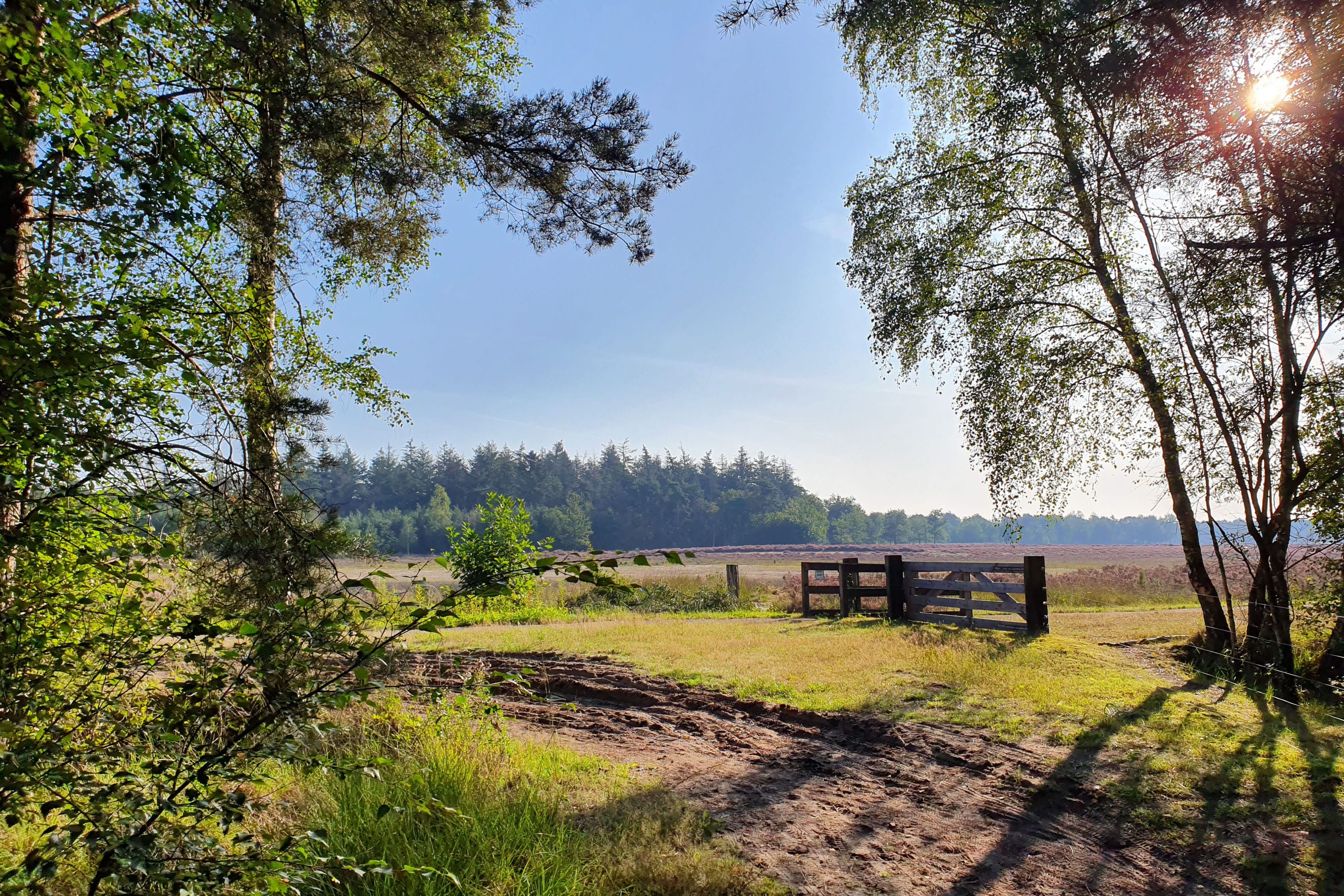 Camping De Somerweij