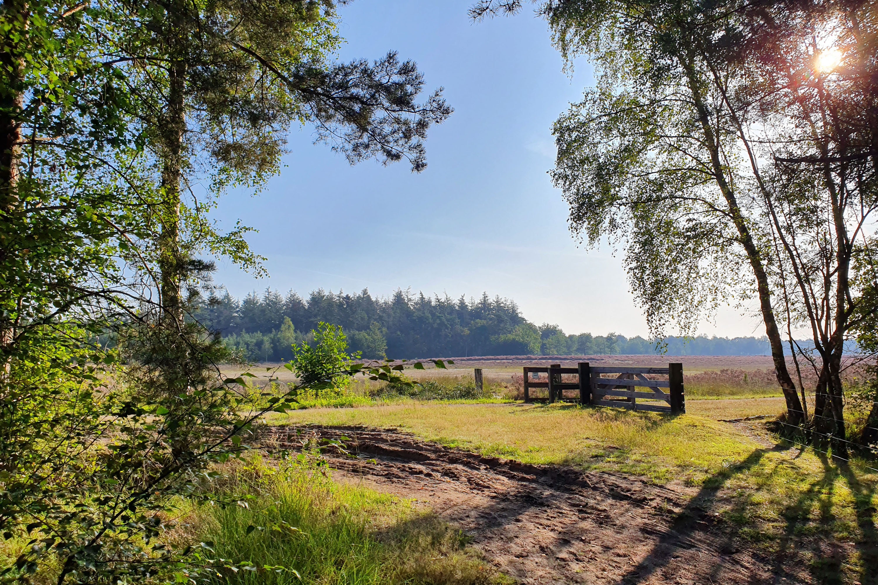 Camping De Somerweij