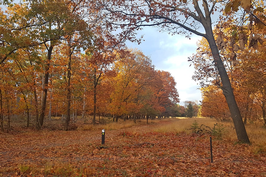 Camping De Somerweij