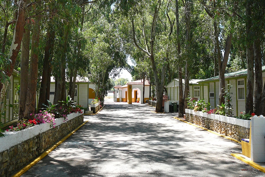 Camping Los Eucaliptos