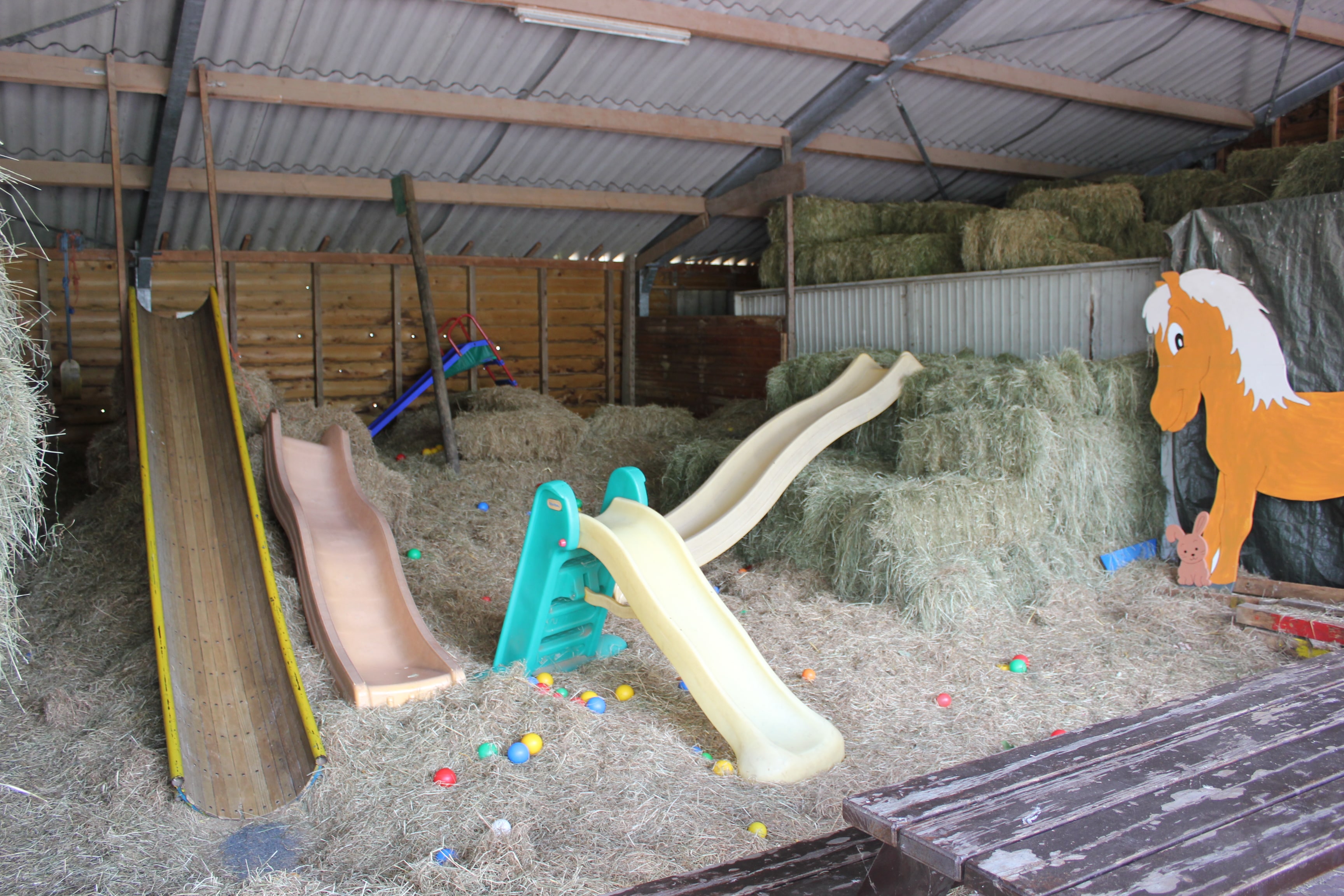 Recreatie- & Hertenboerderij De Weerd