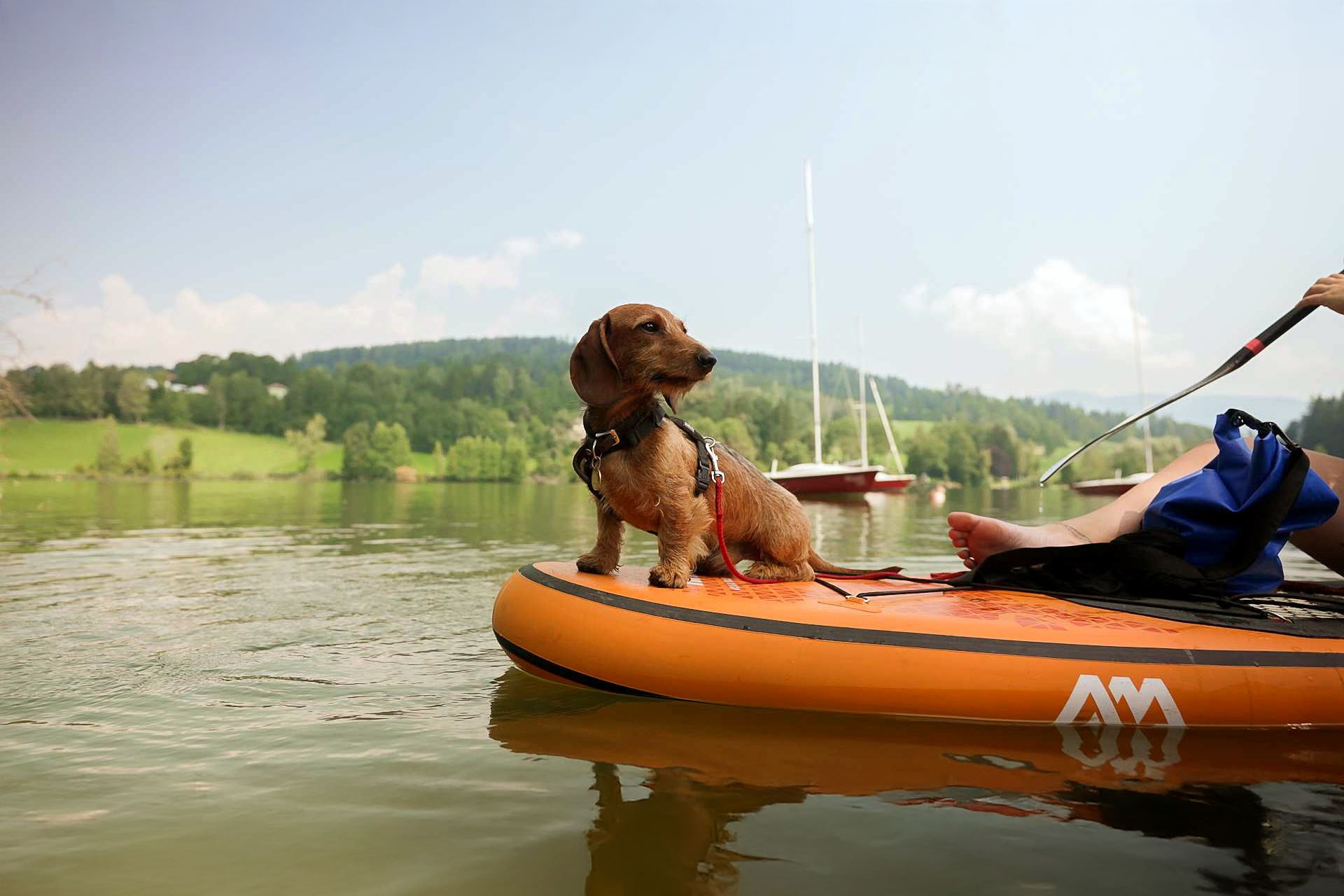 Feriendorf am Maltschacher See