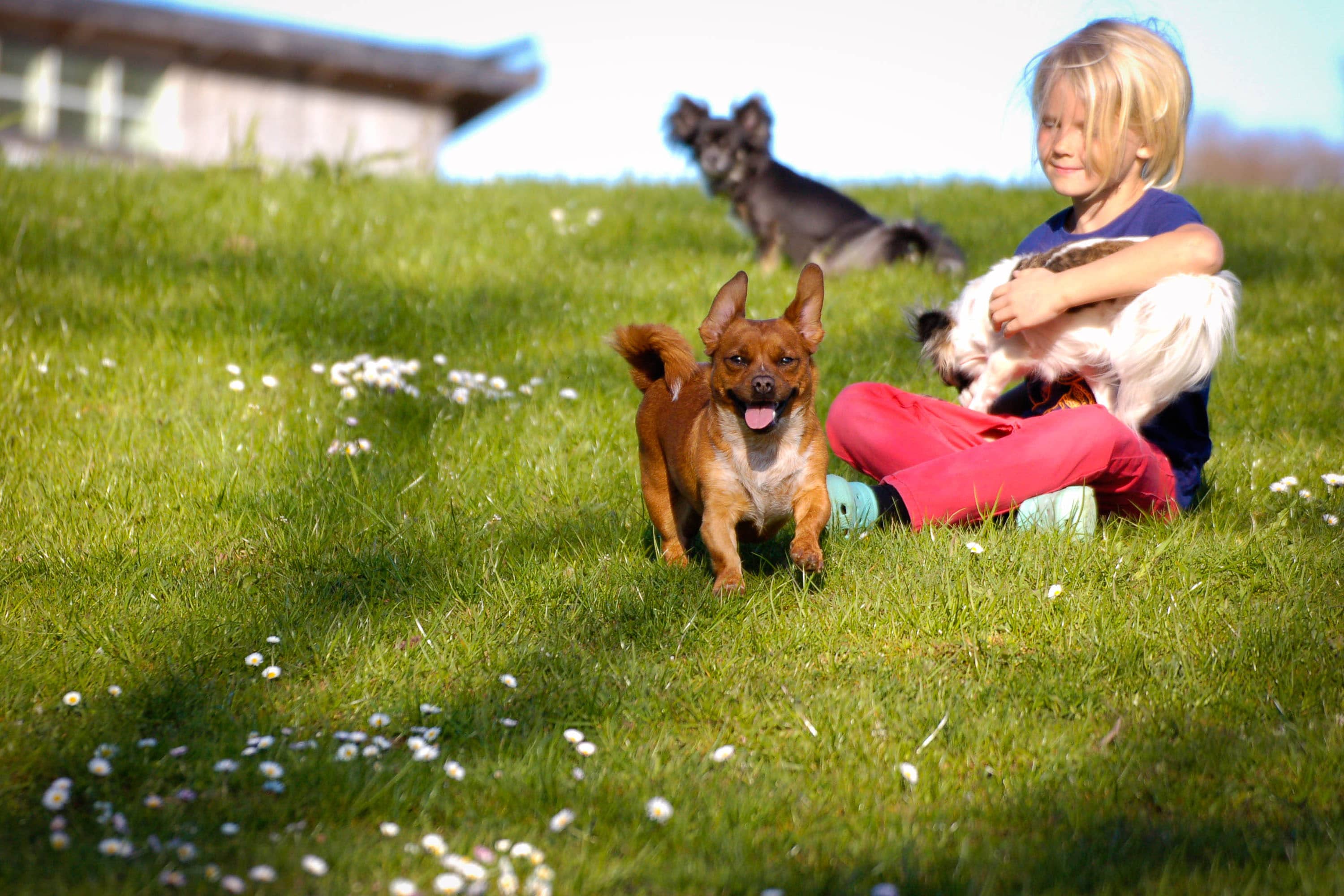 Camping Björsbo Forest & Lake Hideaways