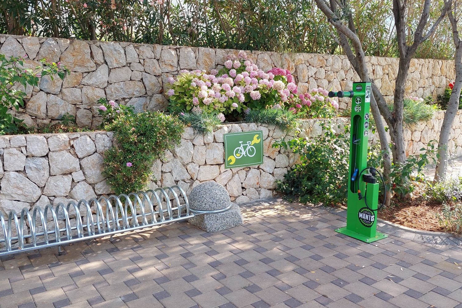 Lavanda Camping