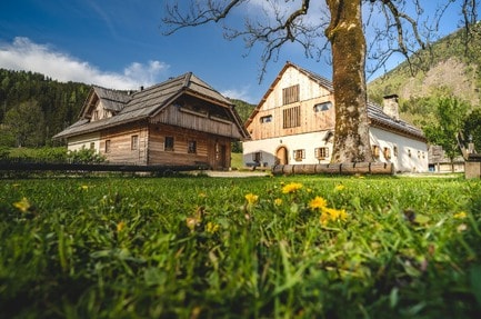 Camp Senkova Domacija
