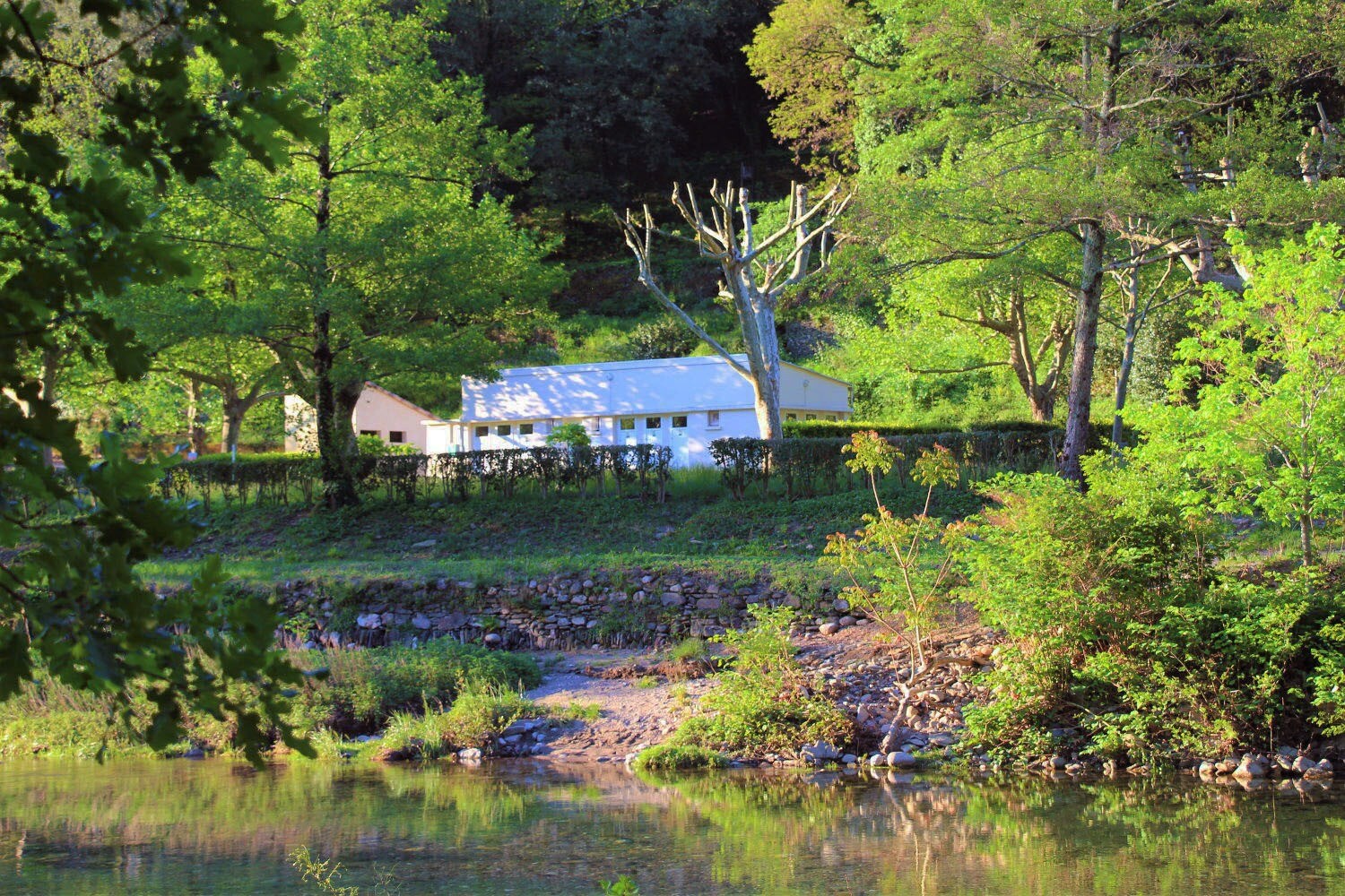 Camping Le Moulin du Luech