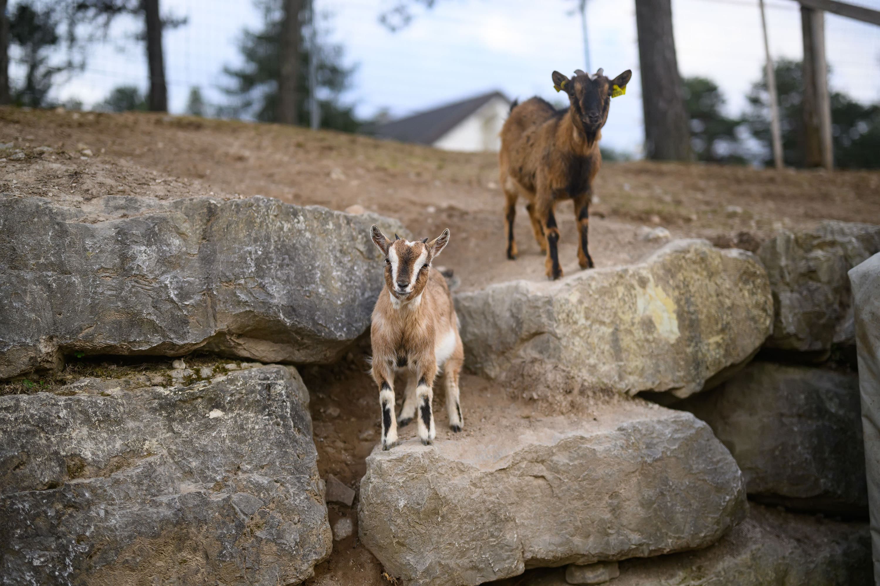 Agricampeggio Terrazza Paganella