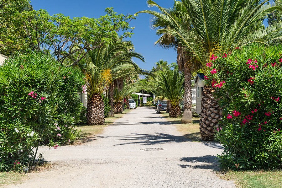 Camping L'Oasis - California