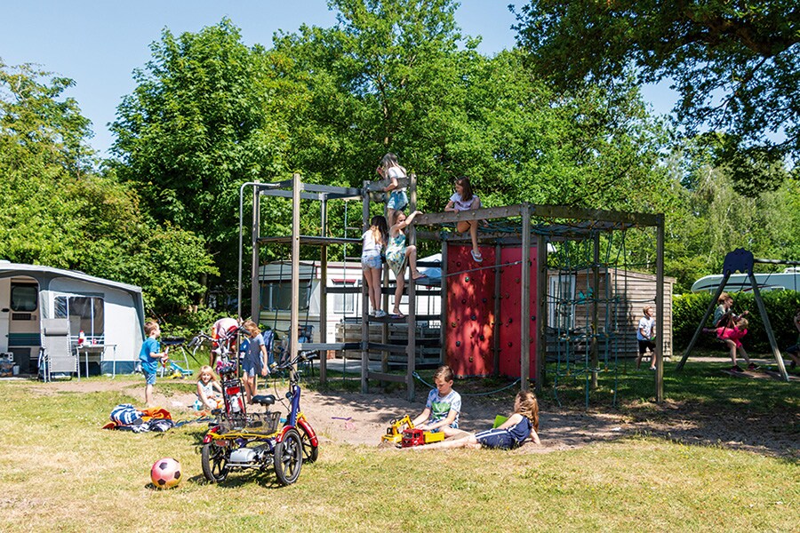 Camping Rijsterbos