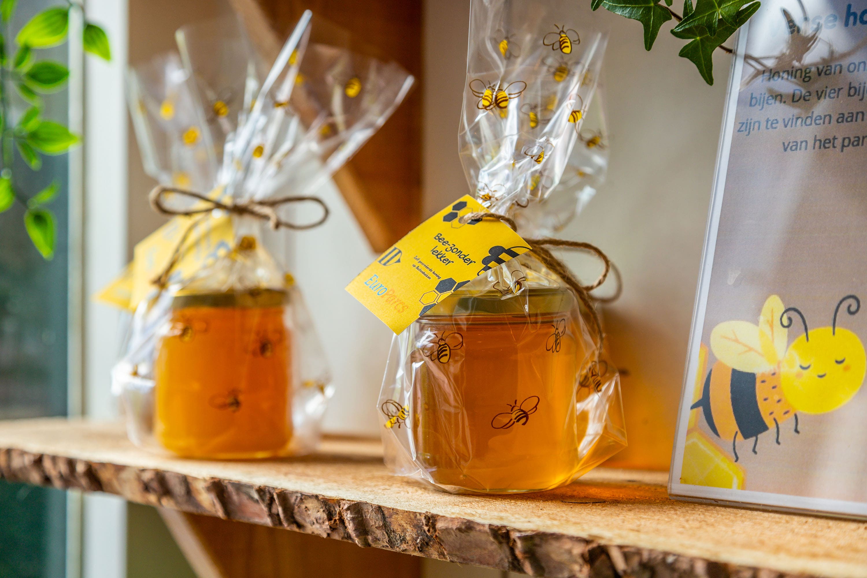 EuroParcs Buitenhuizen