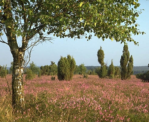 Camping Zum Örtzewinkel