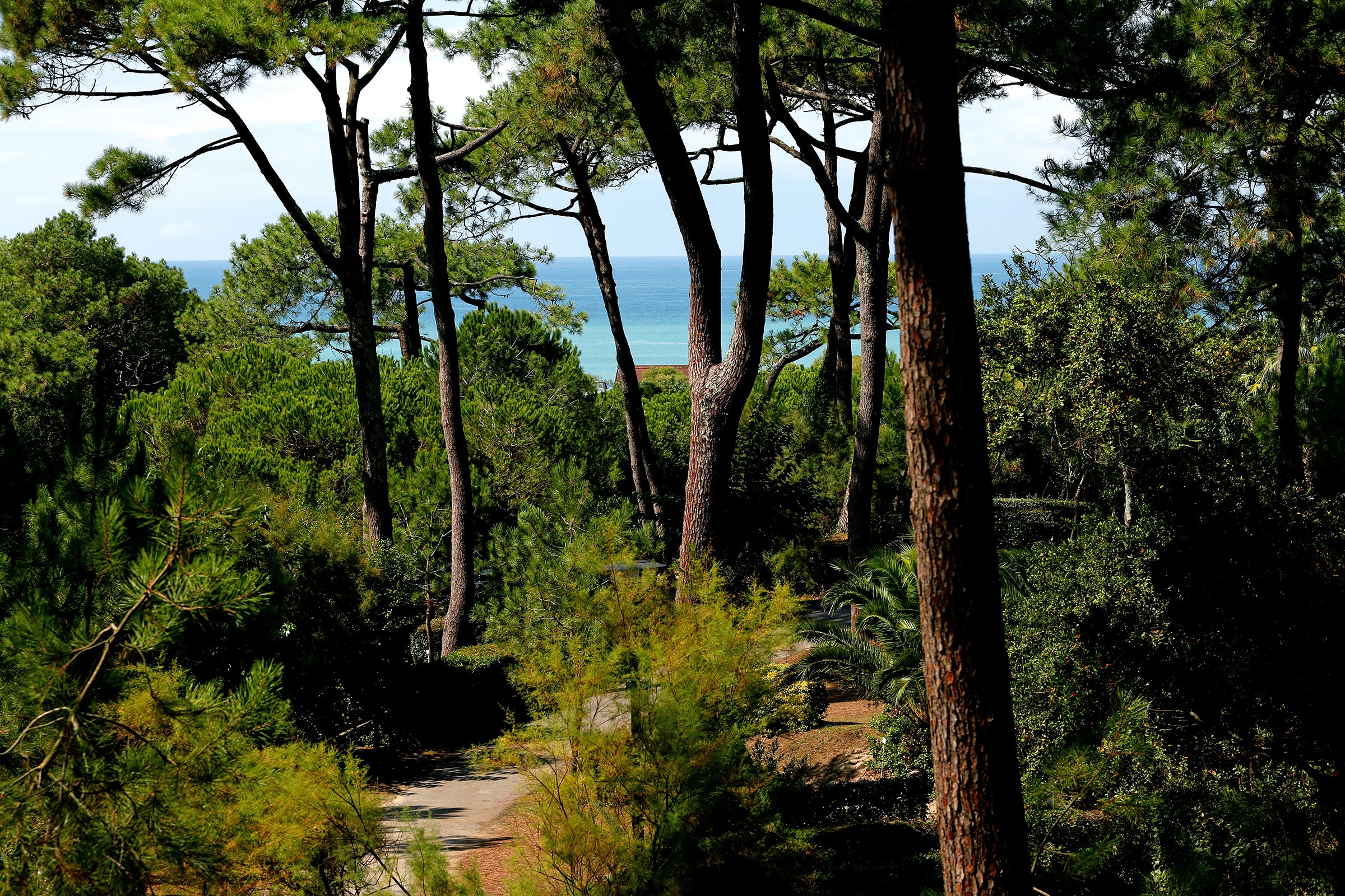 Camping Le Pavillon Royal