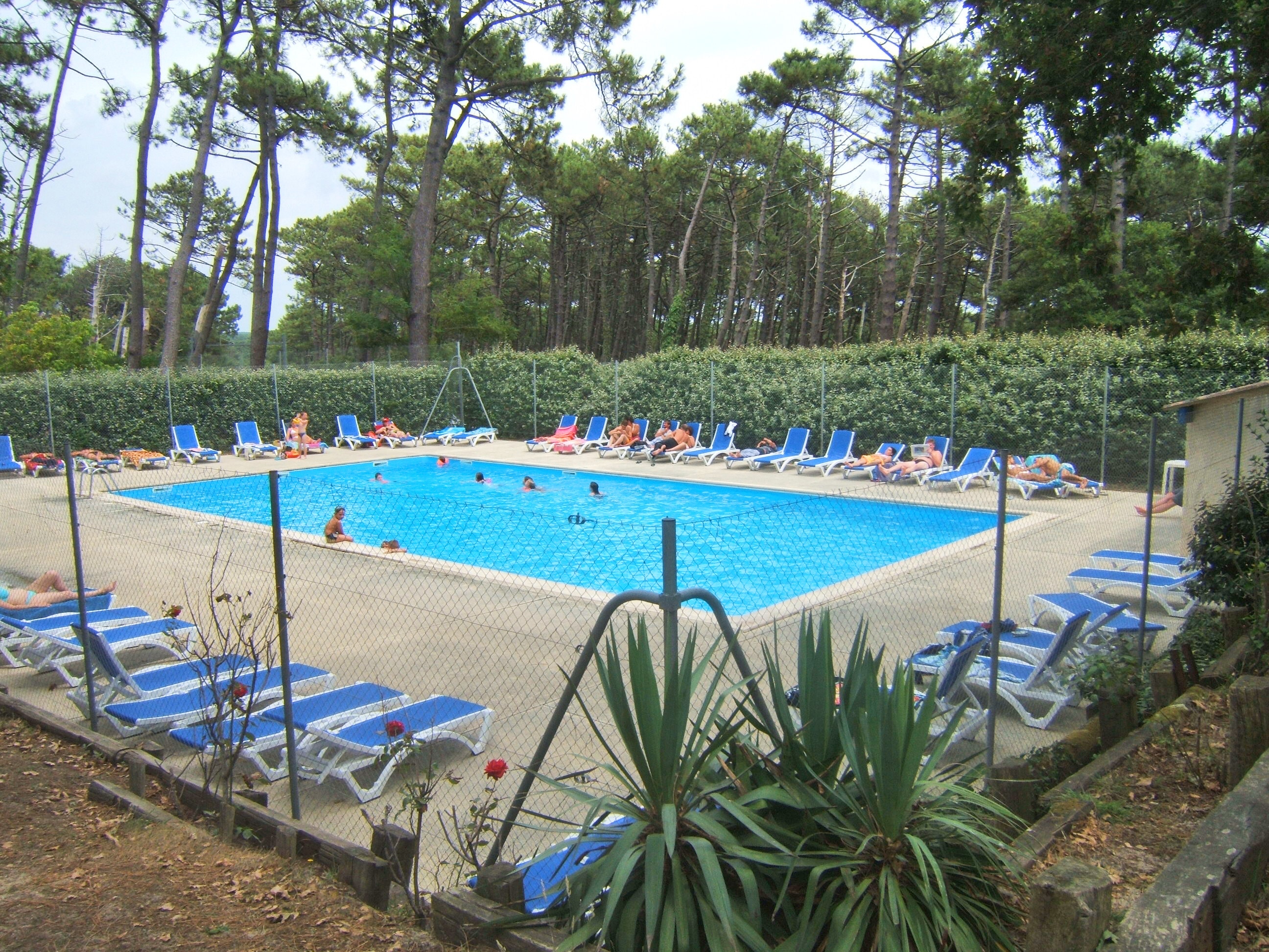 Camping de la Dune