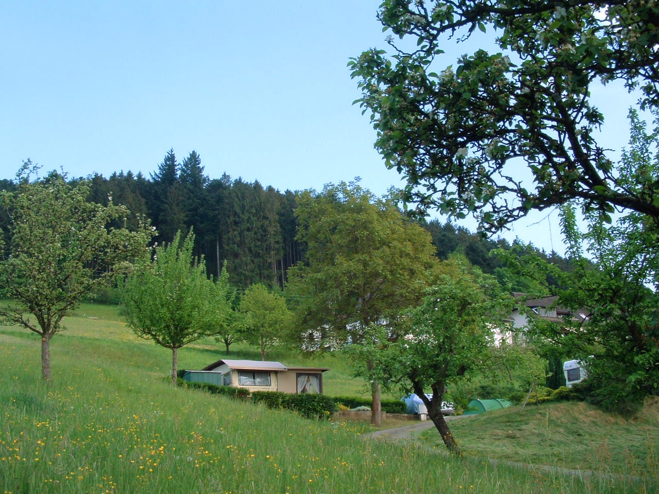 Camping Elztalblick