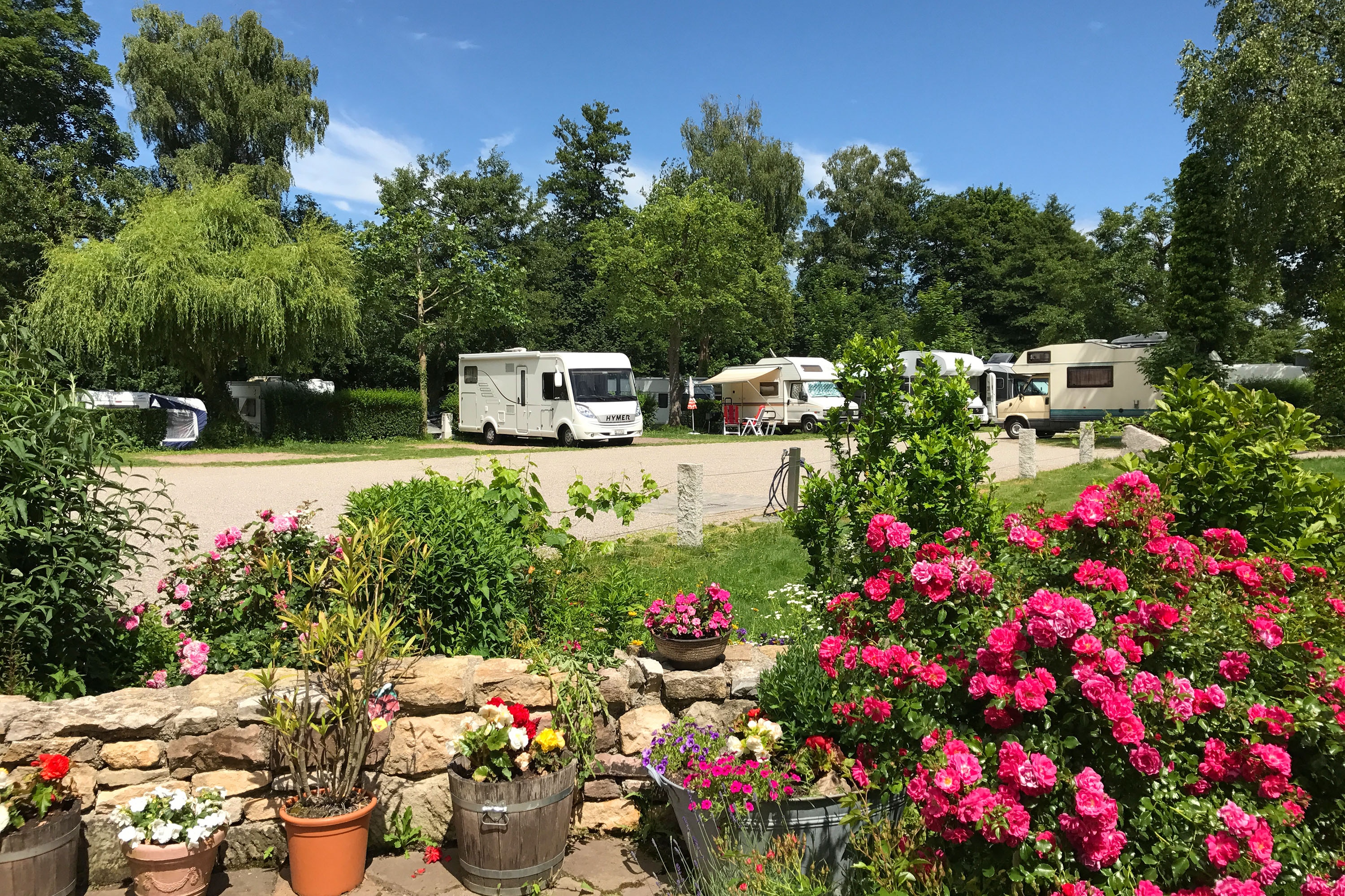 Busses Camping am Möslepark