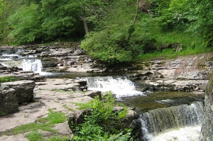 Knight Stainforth Hall C. & C.