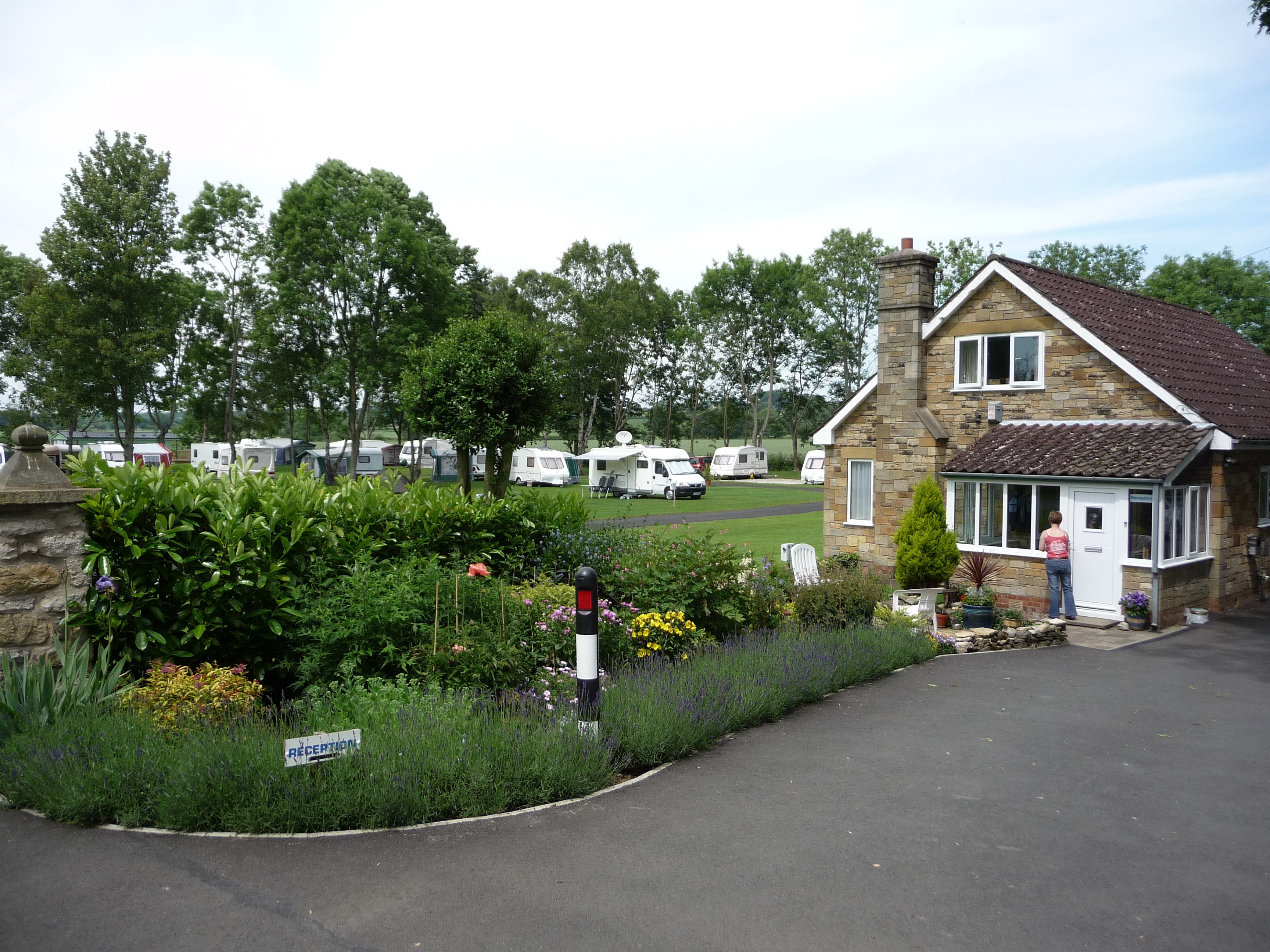 Camping Wrens of Ryedale