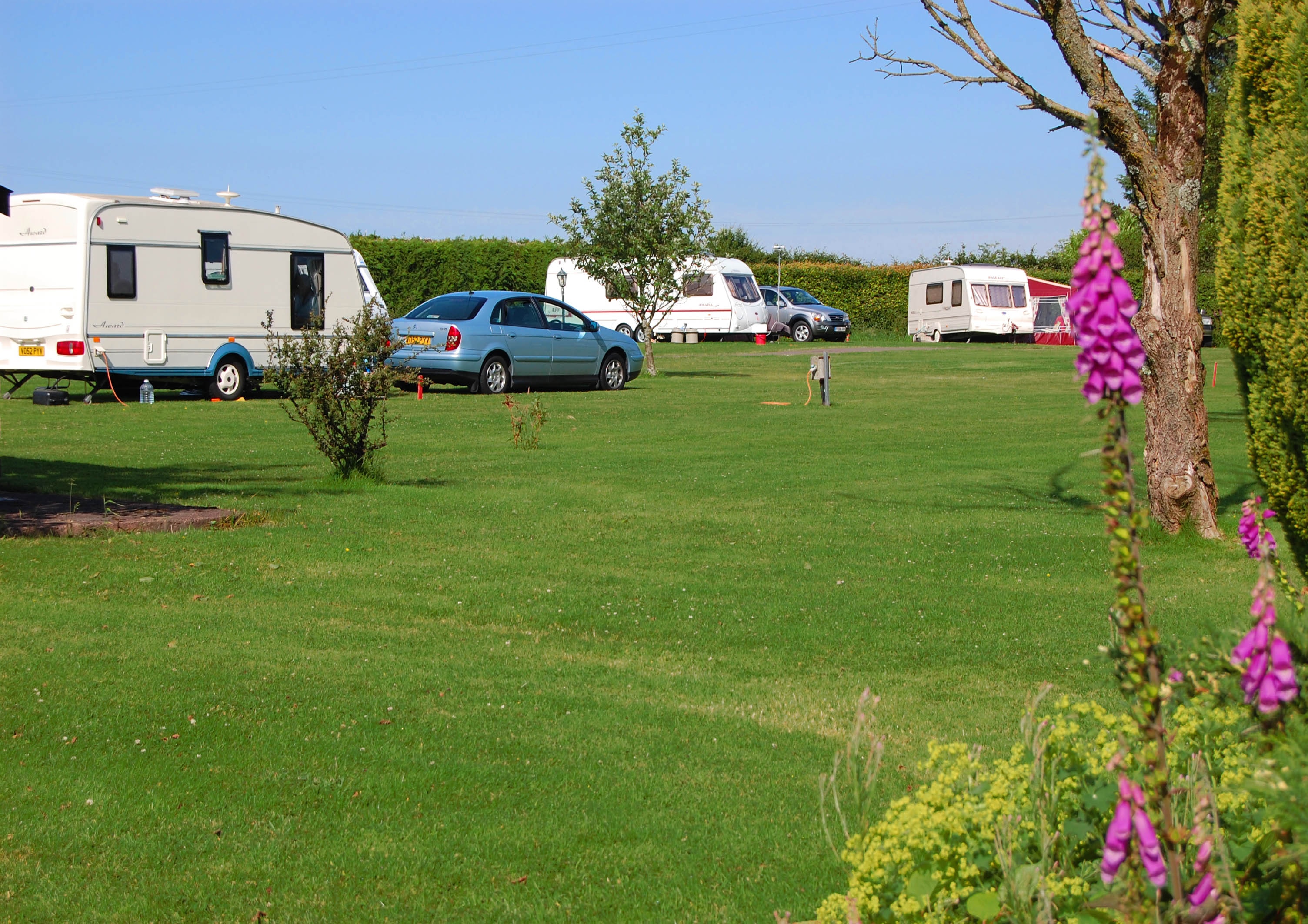 Zeacombe House Caravan Park