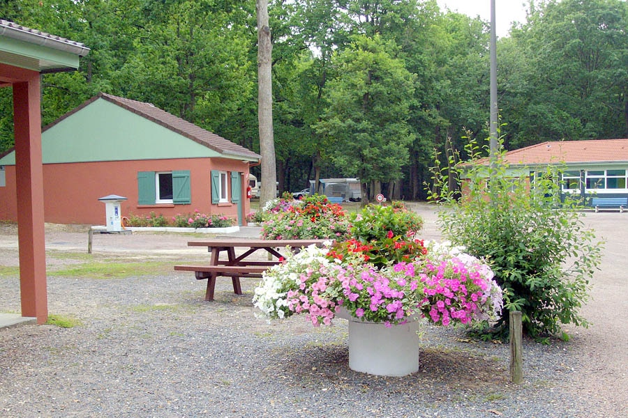 Camping De la Forêt