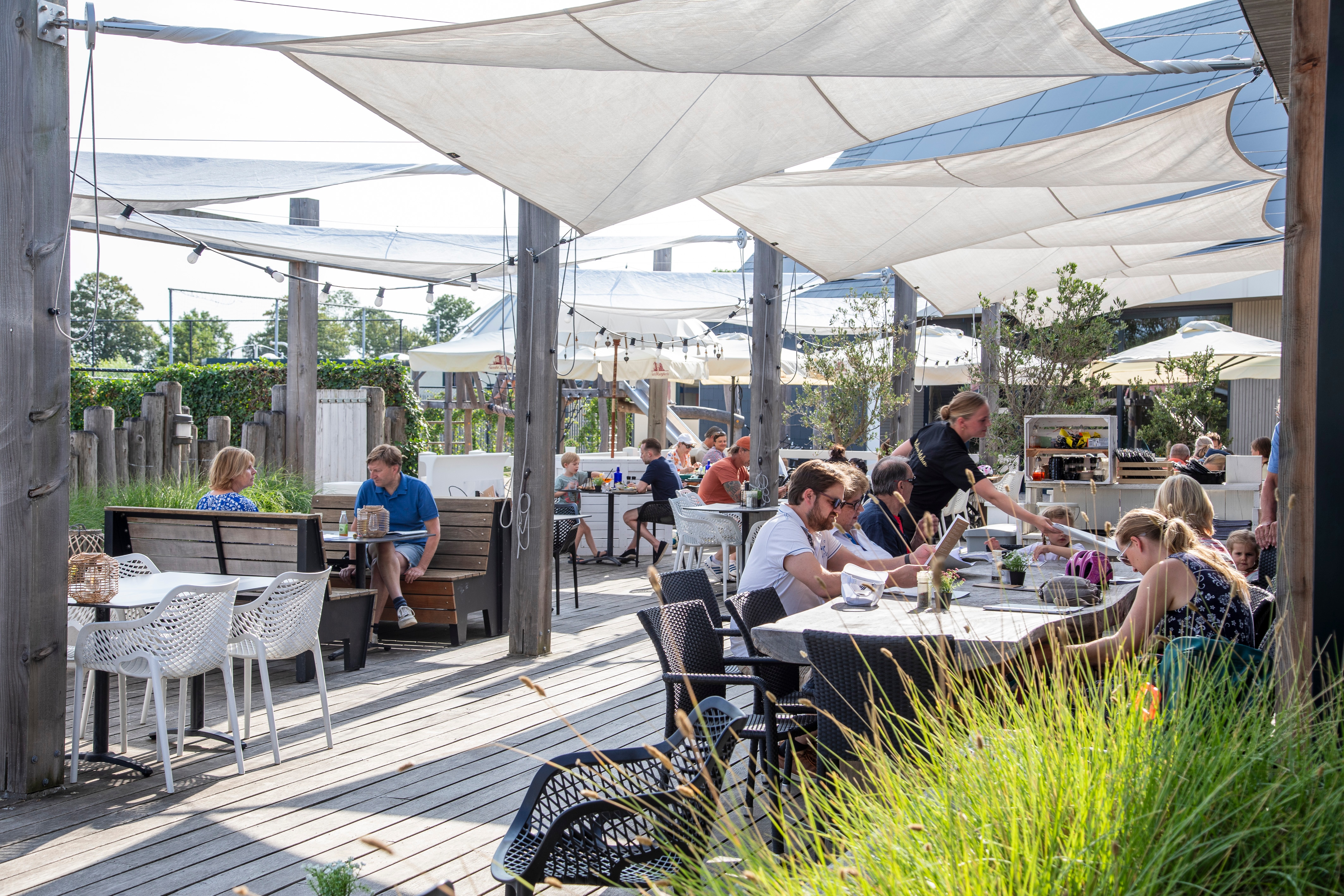 Ardoer camping Zonneweelde