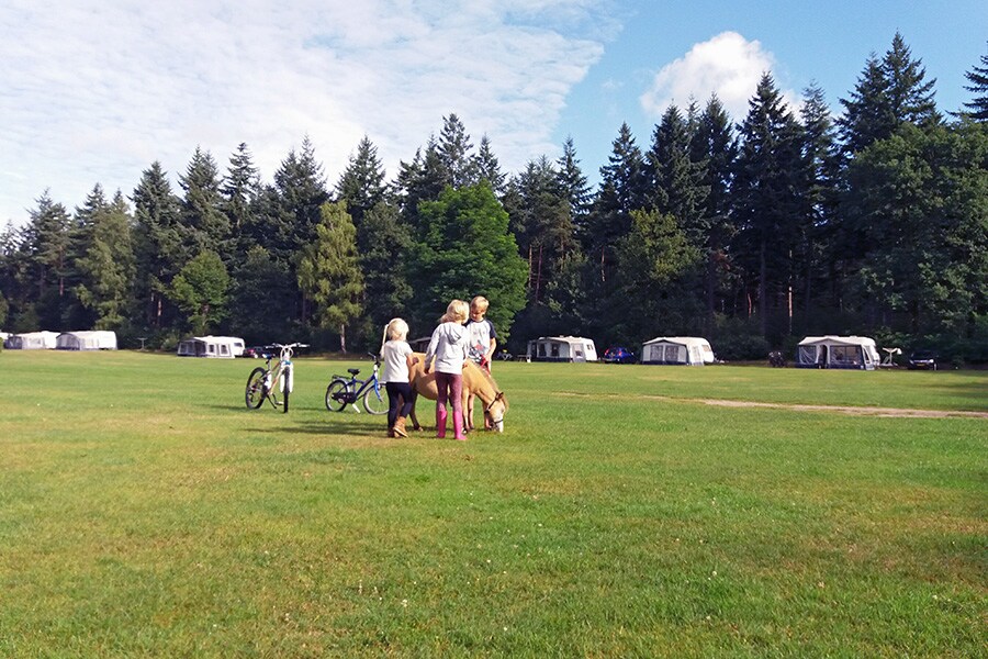 Camping Jena