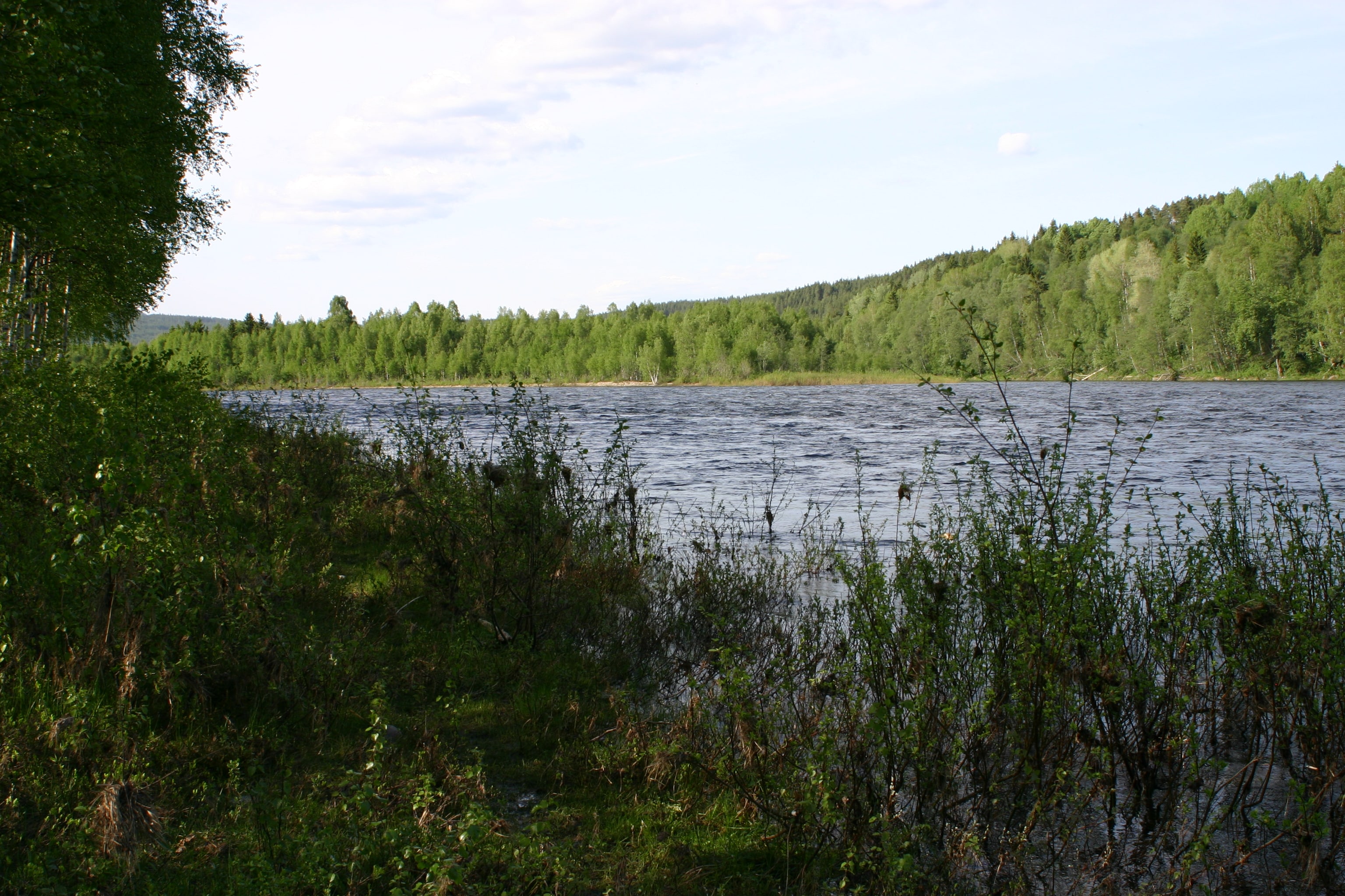 Koppang Camping & Hytteutleie