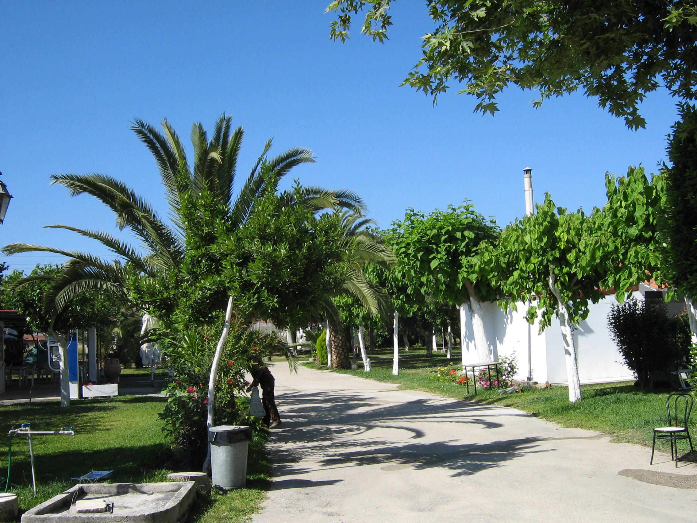 Camping Vassiliki-Beach