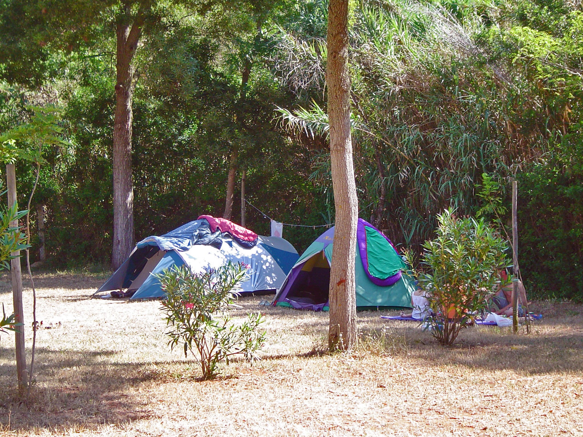 Camping Salema Eco-camp Surf & Nature