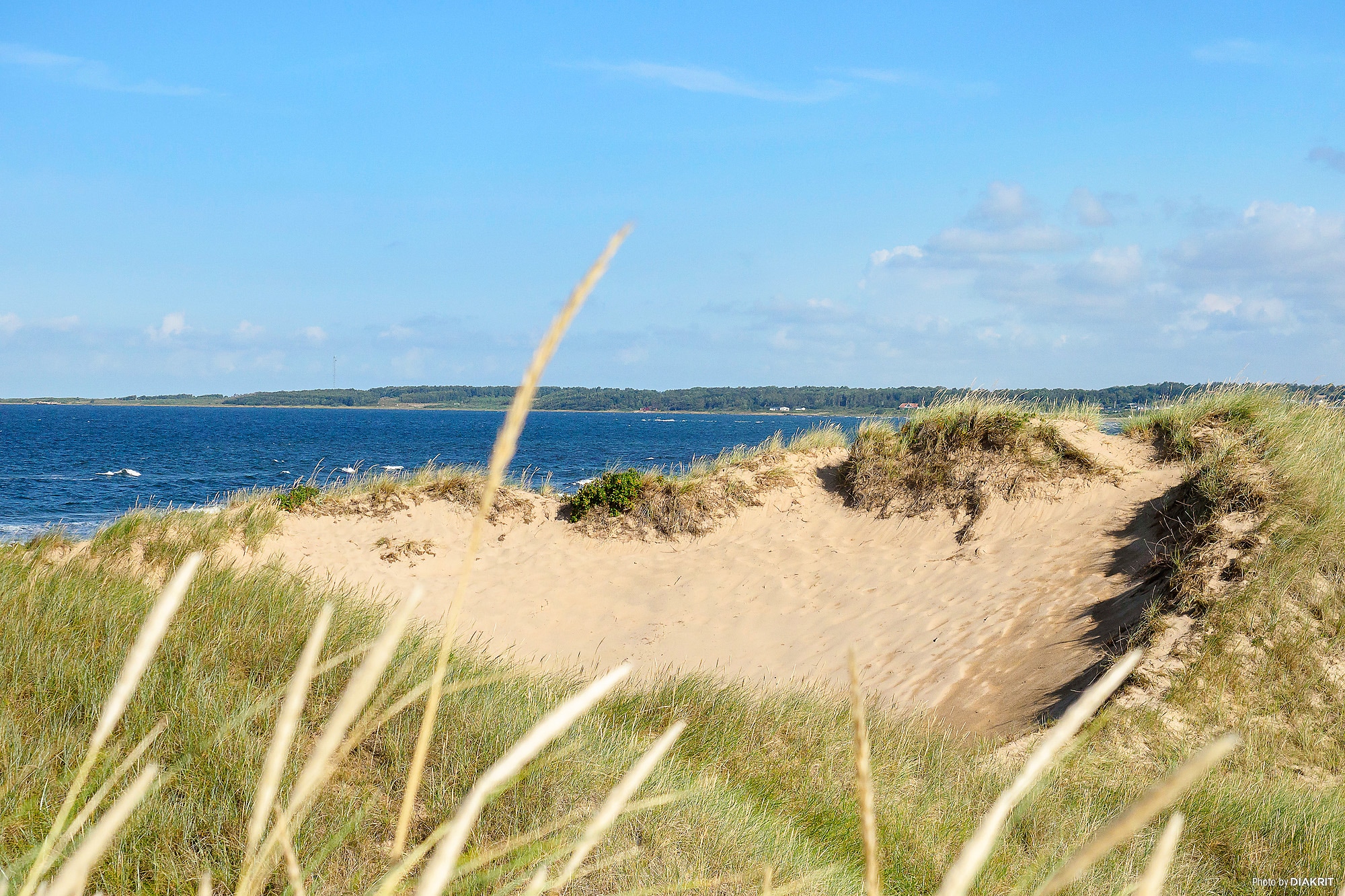 First Camp Tylösand-Halmstad