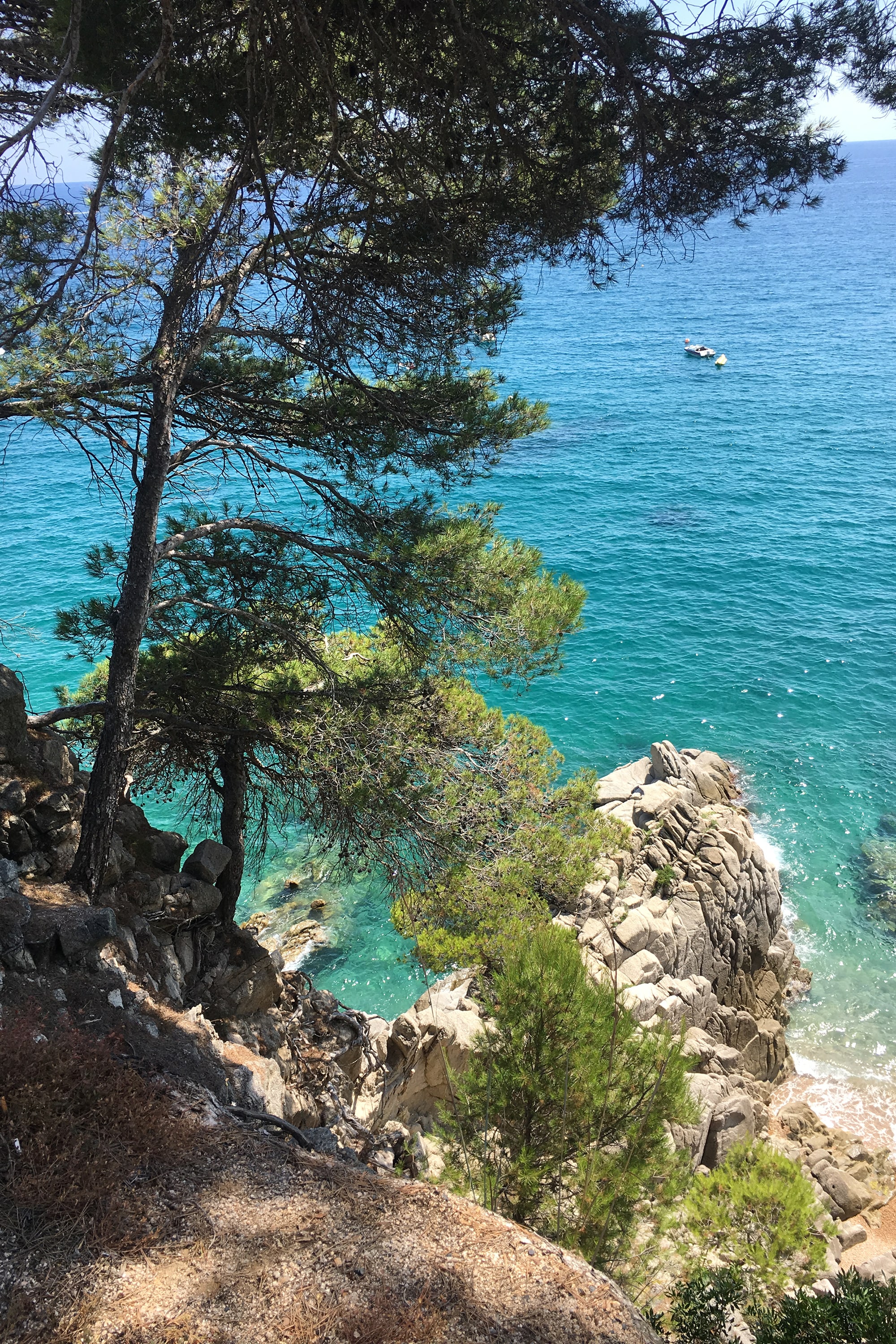 Camping Cala Llevadó