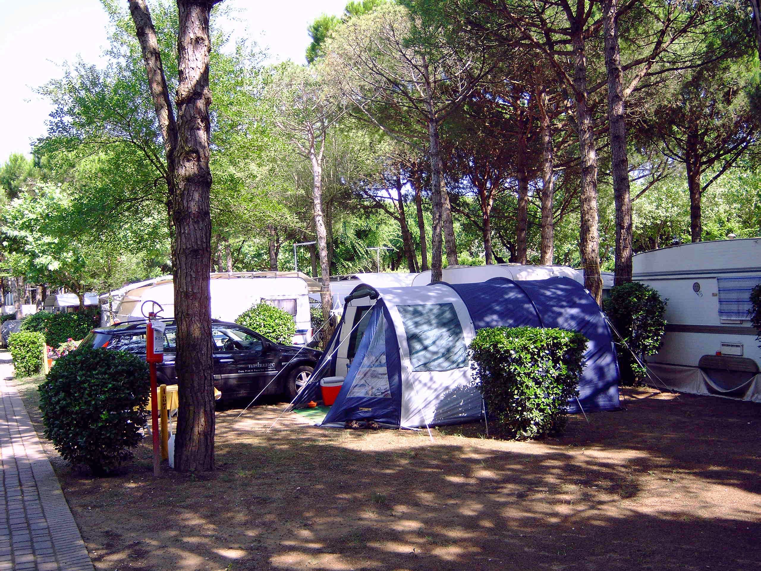 Camping Al Boschetto