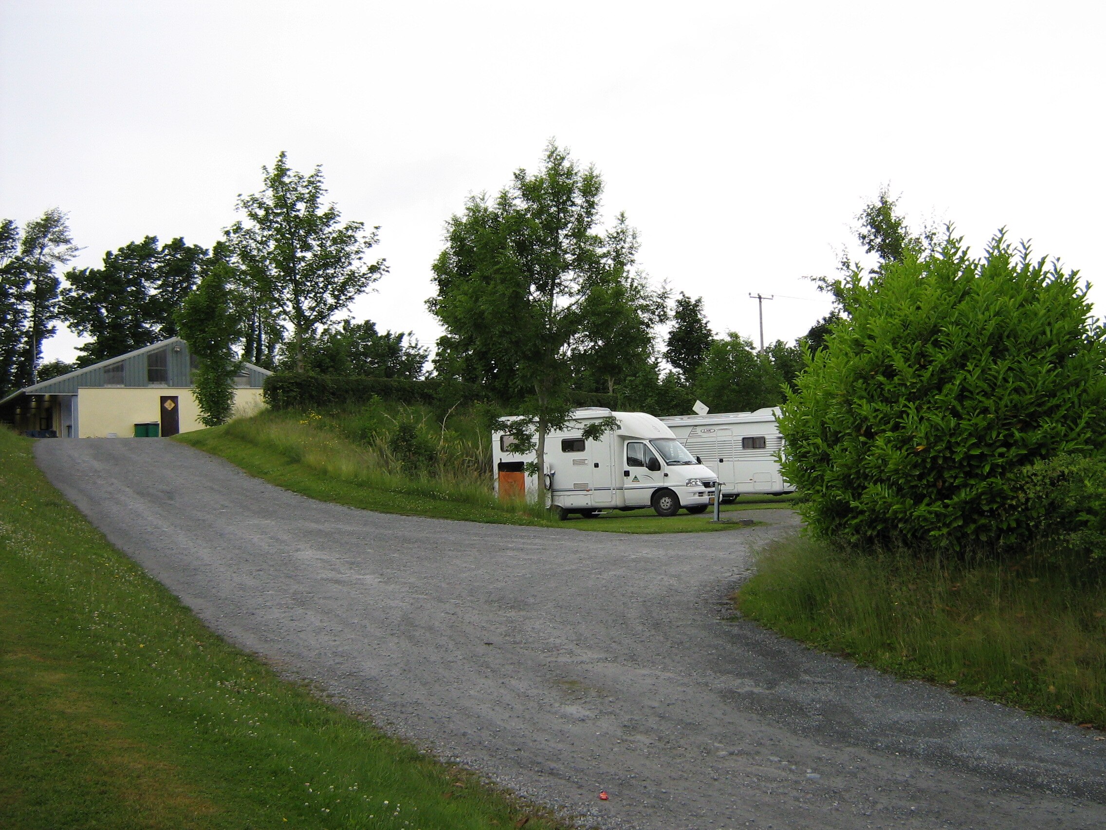 Camping Tree Grove