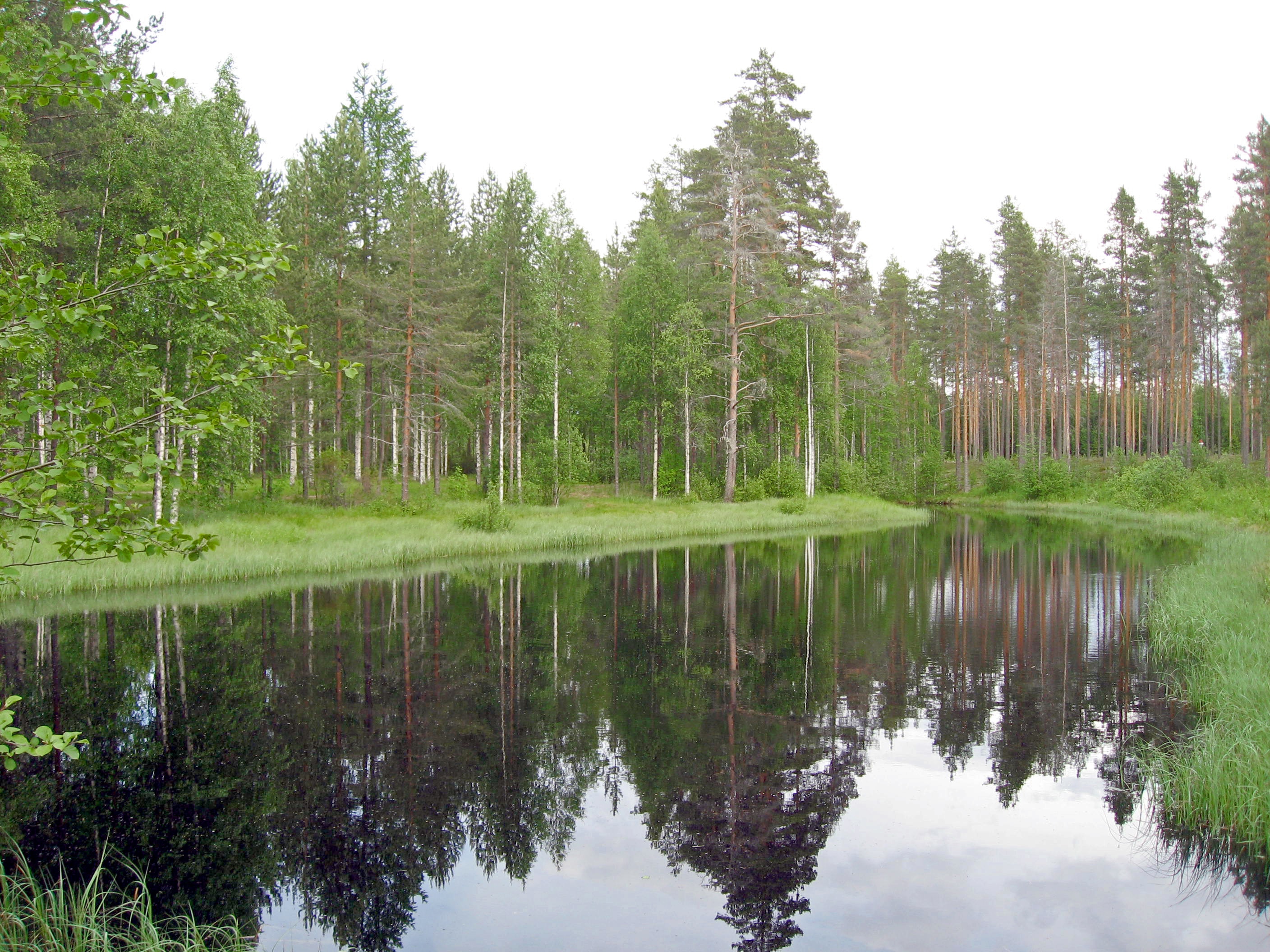 Camping Ruunaa Retkeilykeskus