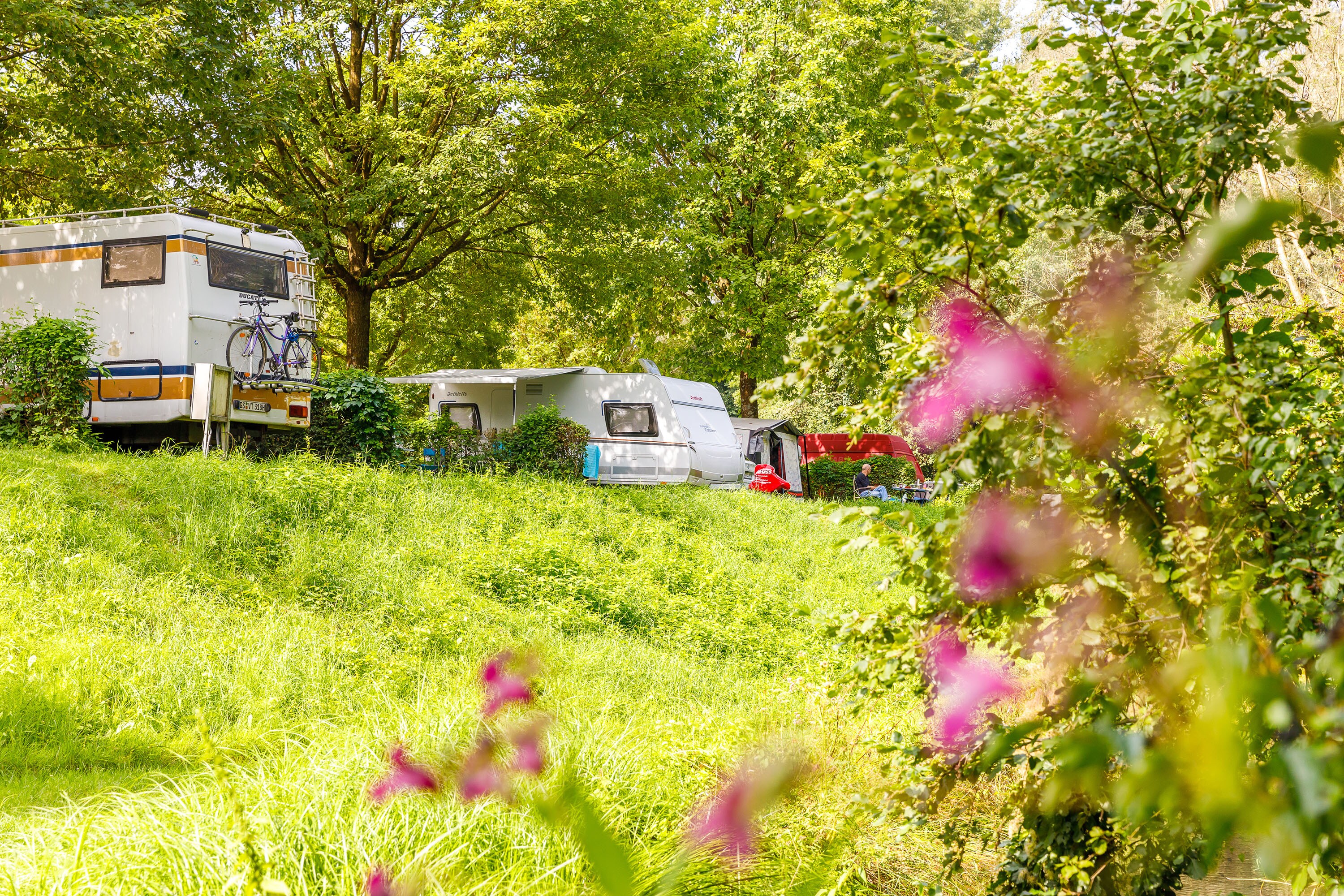Camping Au an der Donau