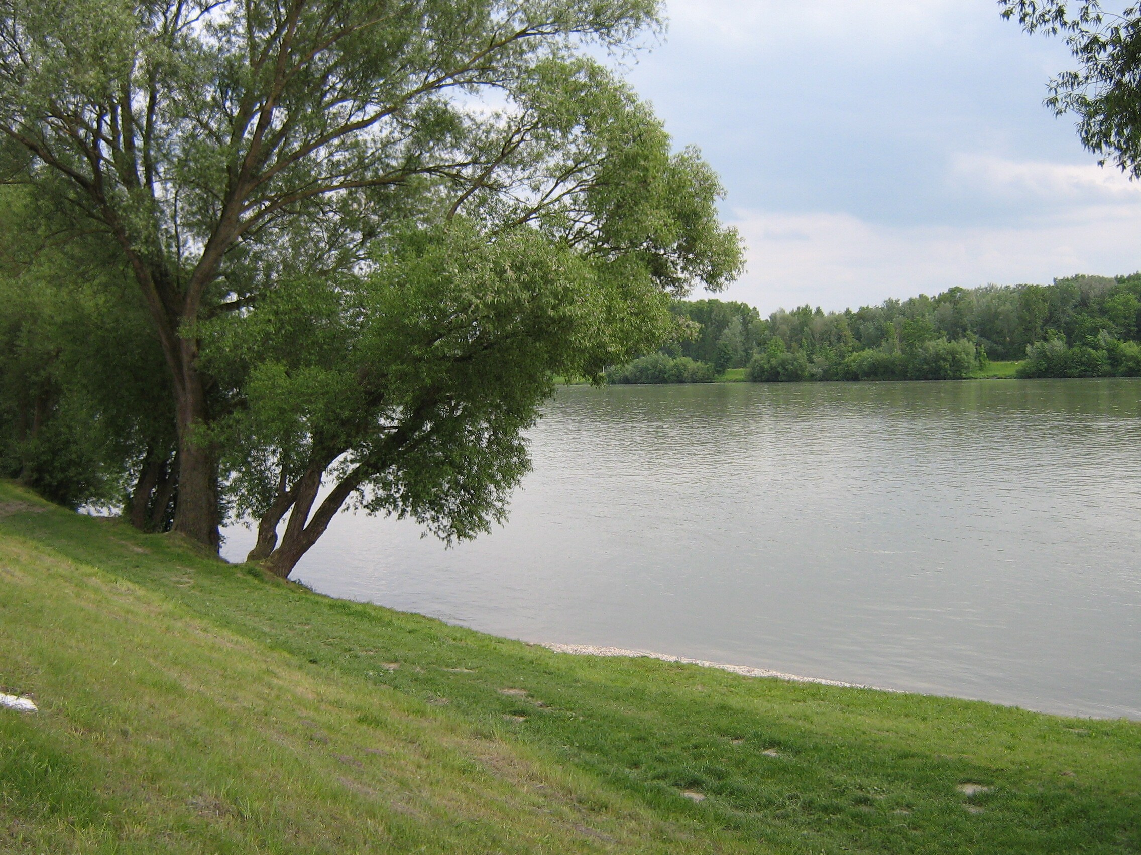 Camping Au an der Donau