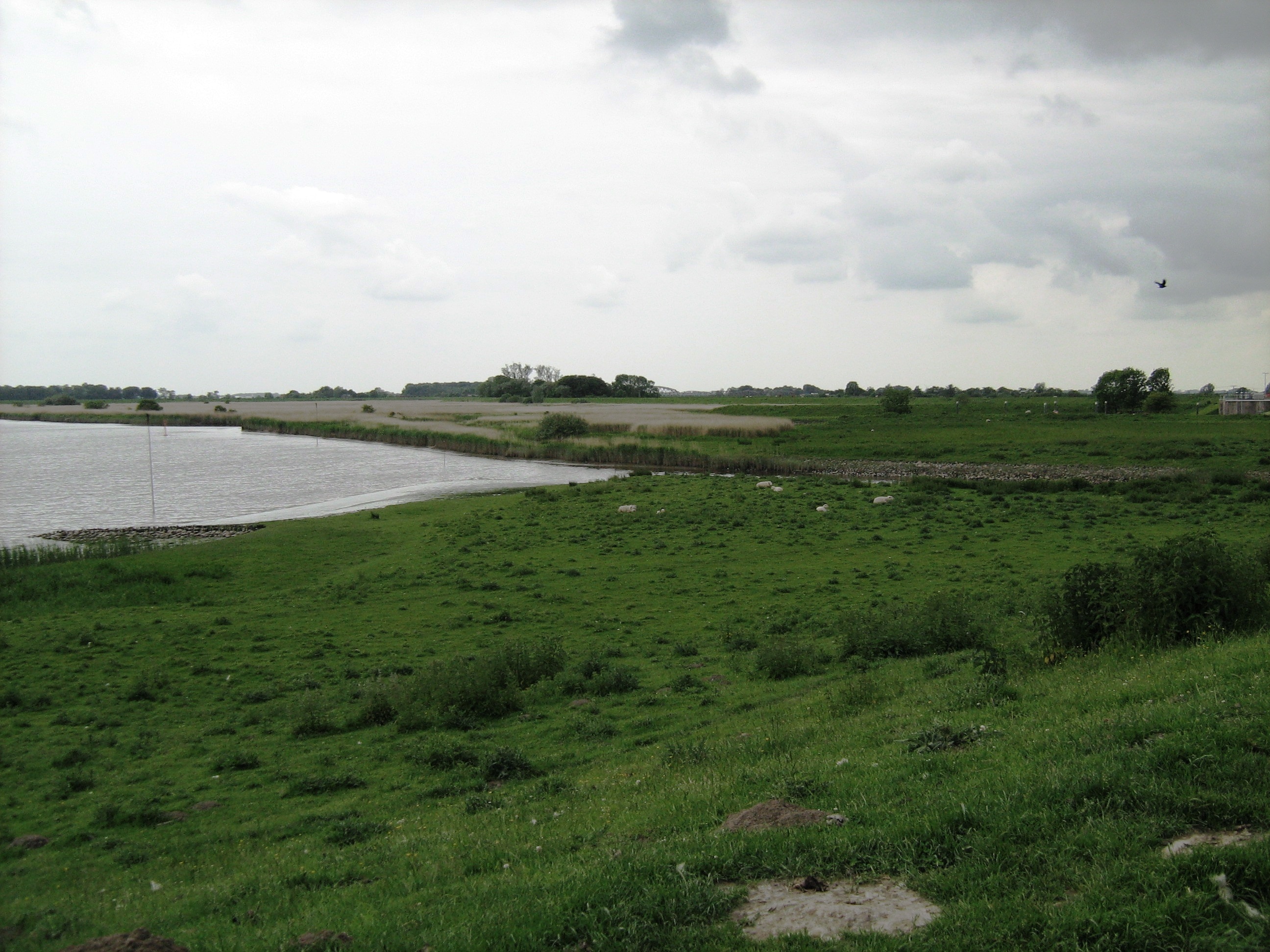 Eider- und Treene Campingplatz