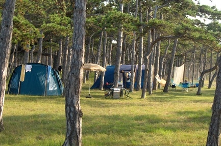 Autocamp Planik